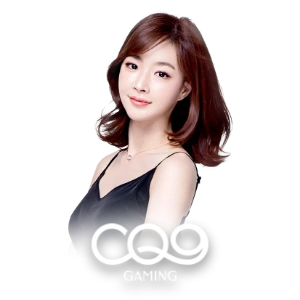 VN565 đăng nhập